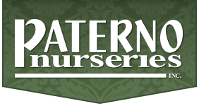 Paterno Nurseries Inc. Logo